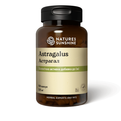 Астрагал | Astragalus НСП - для замедления клеточного старения