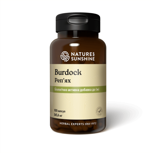 Репейник | Burdock НСП - здоровье печени и желчного пузыря 
