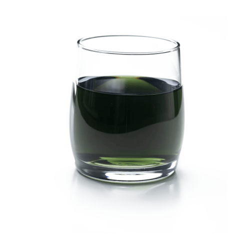 Хлорофилл Жидкий НСП лучший детоксикант Chlorophyll Liquid NSP 