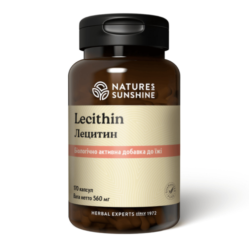 Лецитин | Lecithin НСП - для здоровья всех систем организма