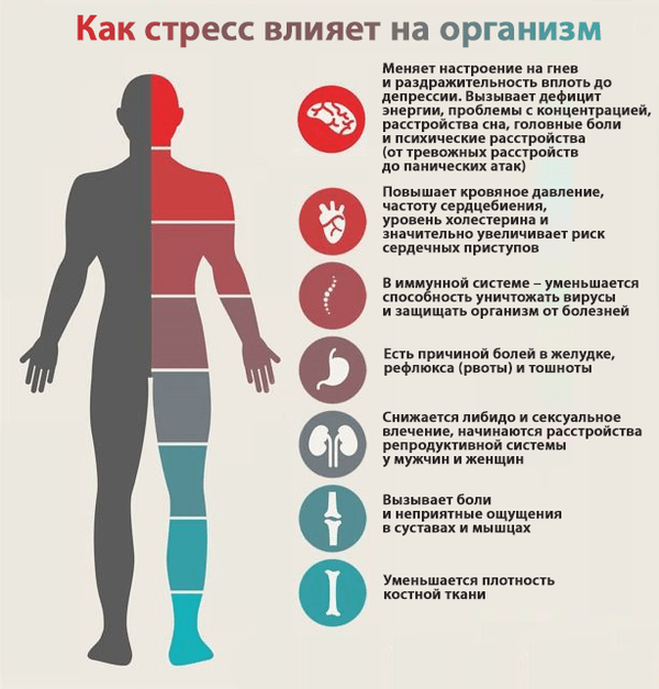 Набор Антистресс для восстановления нервной системы человека изображение