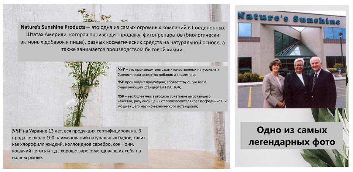Самое главное о компании Nature's Sunshine Products изображение